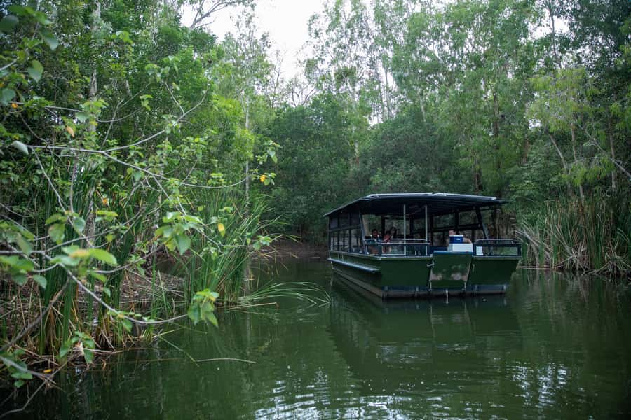 Cairns Shore Excursion: Crocodile & Wildlife Park Tour - Is $88 a fair price?