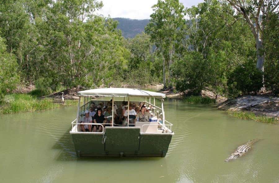 Cairns Shore Excursion: Crocodile & Wildlife Park Tour - Your first task at Hartley’s: get the cruise time