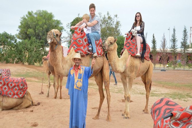Camel riding in Agadir for Cruise ship Passengers - Key points to know before you go