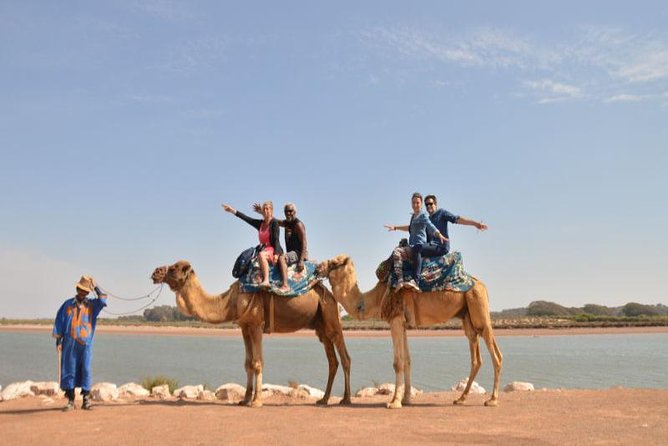 Camel riding in Agadir for Cruise ship Passengers - A break beside the Souss River