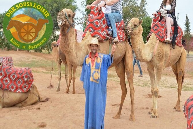Camel riding in Agadir for Cruise ship Passengers - Friendly staff, family atmosphere, and photo help