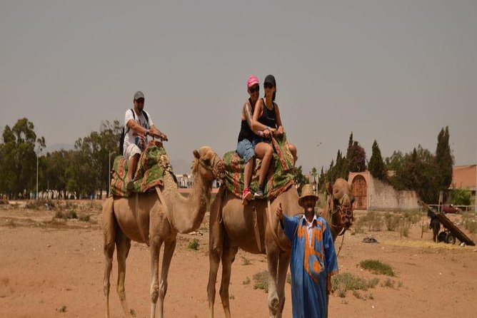 Camel riding in Agadir for Cruise ship Passengers - Mint tea and Moroccan cakes after the ride