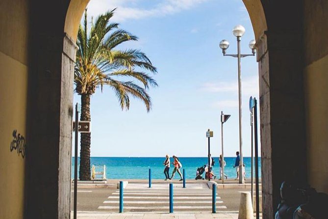 Cannes Large Group Shore Excursion with a Minibus 15 seater - What the driver-guide adds