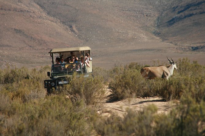 Cape Town Shore Excursion: Big Five Game Reserve from Cape Town - The drive through the Hex River Valley
