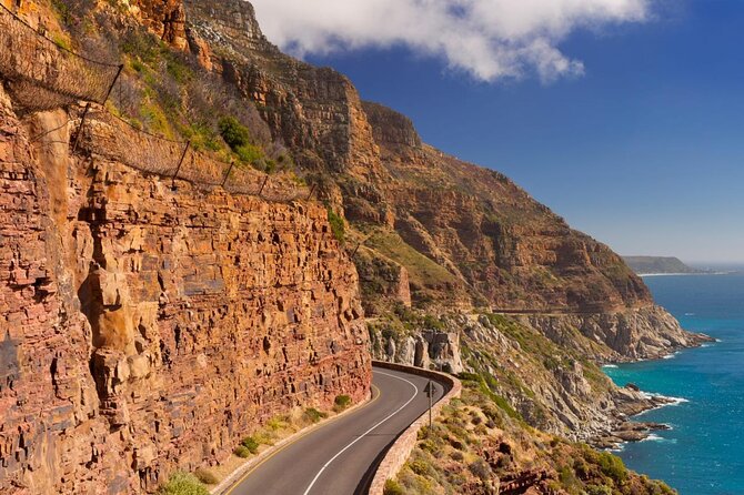 Cape Town Shore Excursion: Private Small Group Cape Peninsula - Cape of Good Hope photo stop