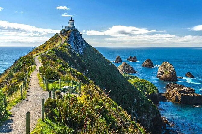 Catlins Cruiser Private Tour from Dunedin Cruise Port - What this Dunedin to Catlins day is really like