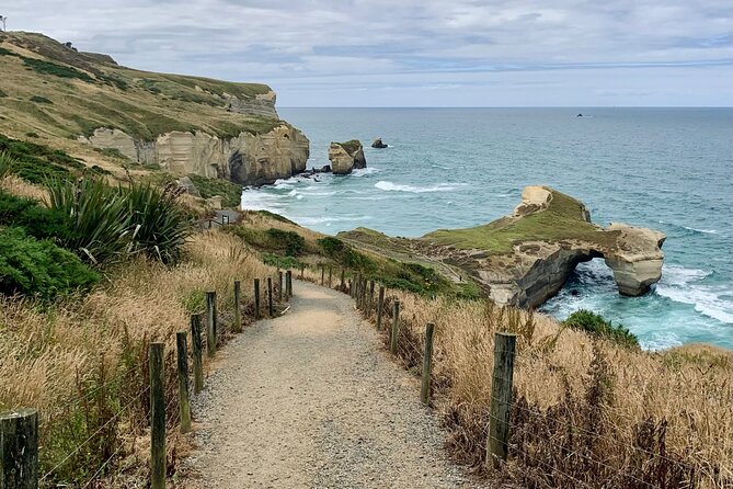 Catlins Cruiser Private Tour from Dunedin Cruise Port - The Awakiki Bush Track in the Catlins
