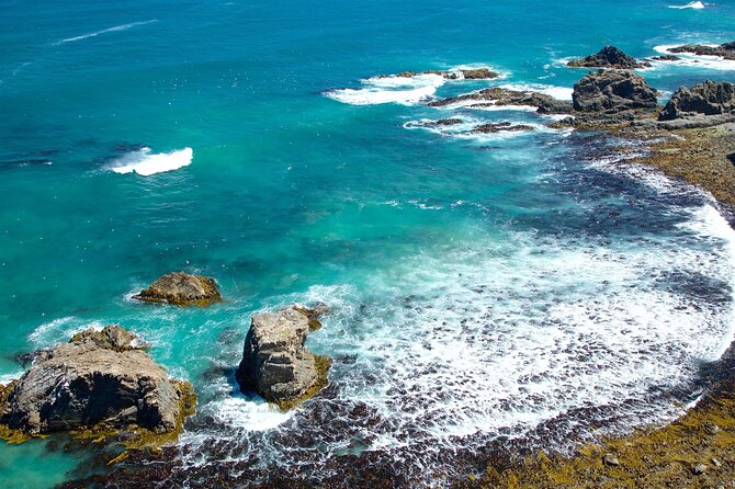 Catlins Cruiser Private Tour from Dunedin Cruise Port - Is $297 per person fair?