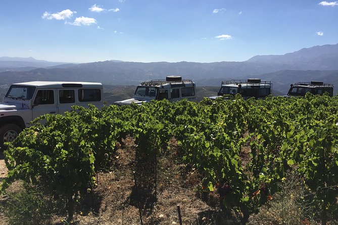 Chania Shore Excursion Off Road Vineyard and Winery Tour Half Day - Guides Can Shape the Whole Experience
