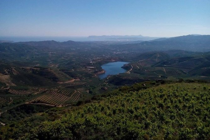 Chania Shore Excursion Off Road Vineyard and Winery Tour Half Day - Is the $107 Price Fair?