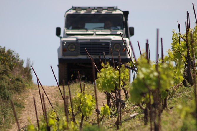 Chania Shore Excursion Off Road Vineyard and Winery Tour Half Day - Who Should Book This Crete Winery Excursion?