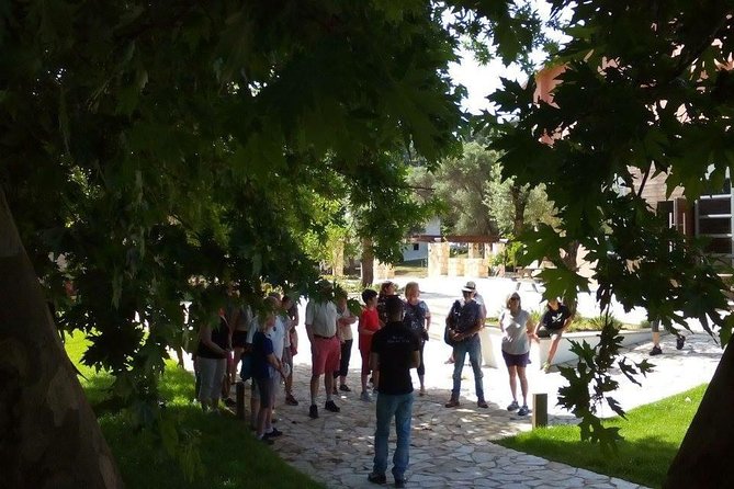 Chania Shore Excursion Off Road Vineyard and Winery Tour Half Day - Should You Book It?