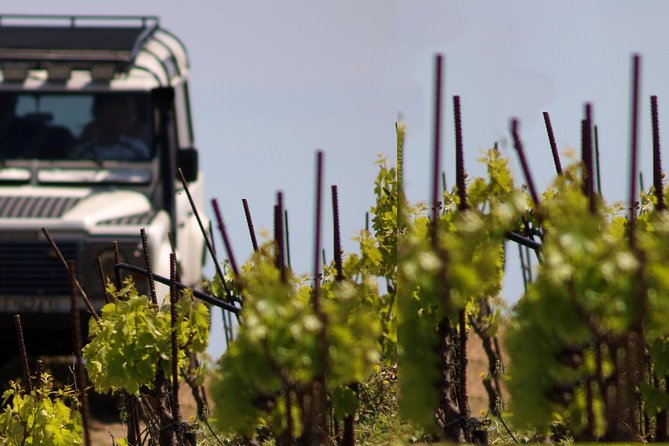 Chania Shore Excursion Off Road Vineyard and Winery Tour Half Day - The Two-Hour Winery Visit at Manousakis