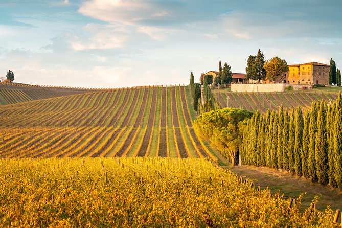 Chianti Experience Shore Excursion from Livorno Port - Lunch at a trattoria or private home