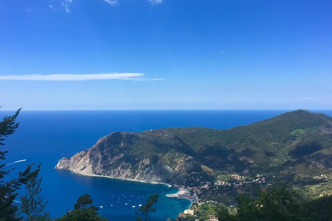Cinque Terre and Pisa Private Tour from Livorno - Comfort, flexibility, and the private group advantage