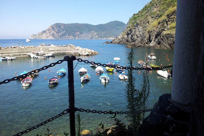 Cinque Terre Private Tour by Minivan and Ferry-Boat Shore excursion from Livorno - Monterosso: two hours for lunch or the beach