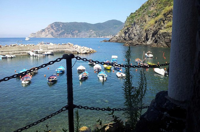 Cinque Terre Private Tour by Minivan and Ferry-Boat Shore excursion from Livorno - Ferry or train: the transport is part of the tour