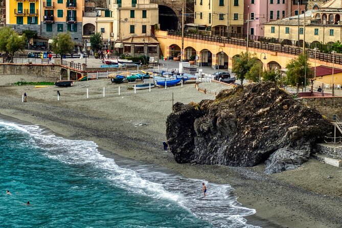 Cinque Terre Private Tour from Genoa cruise port or hotel - Manarola and the vineyards above the sea