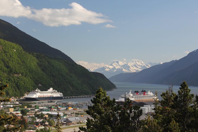 City and Mountain Summit Shore Excursion in Skagway - Key points at a glance