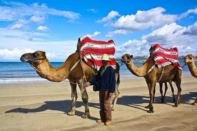 City Break Tangier for cruisers - Hercules Cave is the day’s most unusual landmark