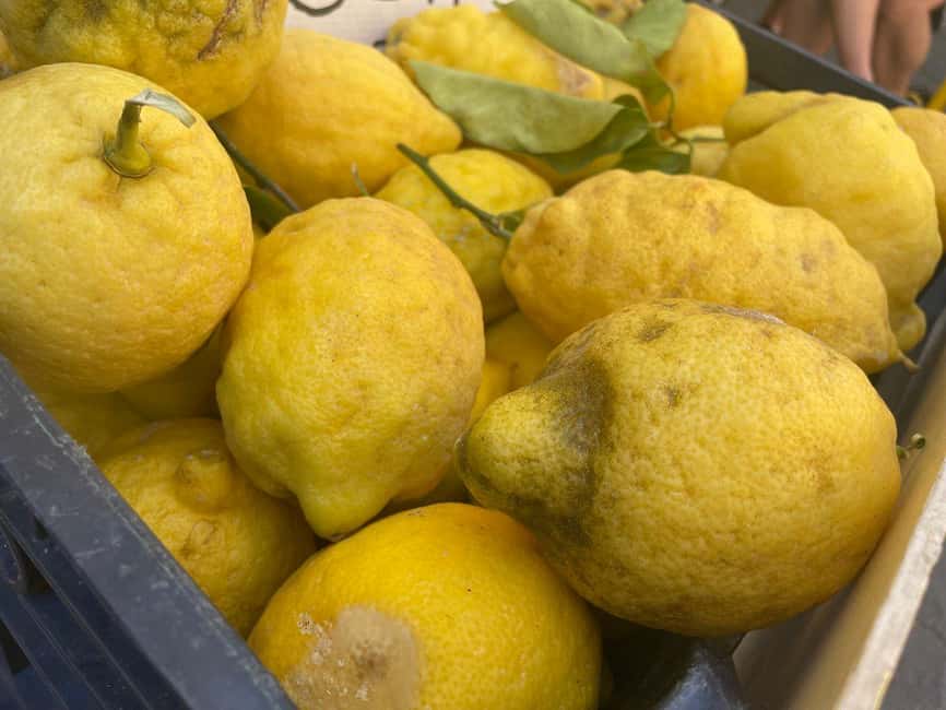 Civitavecchia: Historical and Culinary Walking Tour - Group size, timing, and the guide factor
