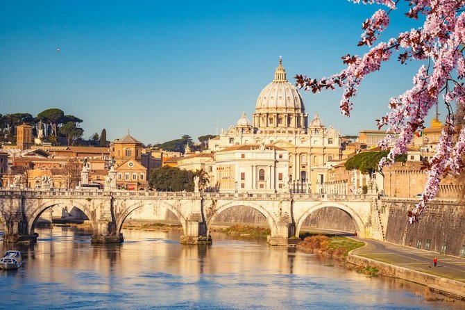 Civitavecchia Shore Excursion: Best of Rome Private Tour - What your English-speaking driver can and cannot do