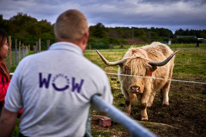 Classic Highland Shore Tour from Invergordon - Clava Cairns: prehistoric stones and Outlander connections