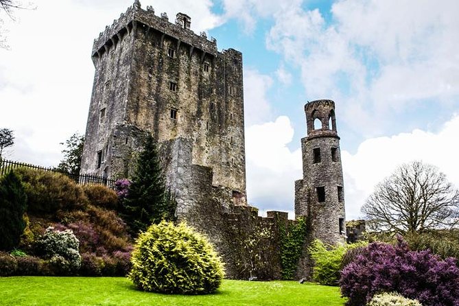 Cobh cruise excursion, Blarney, Cork & Kinsale. Car or Minibus. - Cork’s English Market in a 30-minute stop