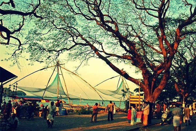 Cochin City or Backwater Shore Excursions from Cruise Terminal - Leaving Kochi port and crossing Kerala
