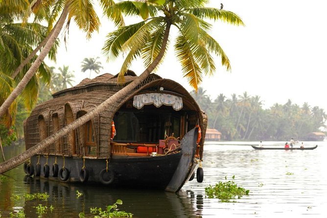 Cochin City or Backwater Shore Excursions from Cruise Terminal - Who should book this Kochi excursion