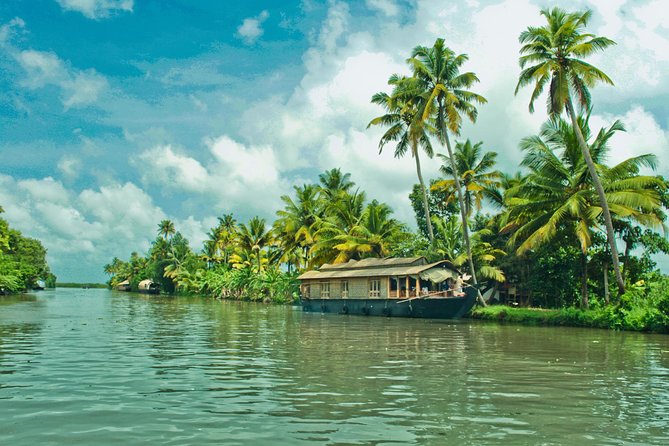 Cochin City or Backwater Shore Excursions from Cruise Terminal - Choosing between a houseboat, canoe, and city tour
