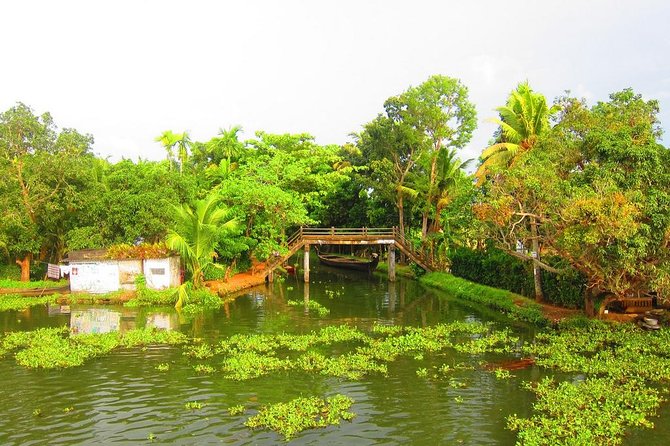 Cochin Shore Excursions from Cruise Terminal - Mattancherry, the palace, and the Jewish quarter