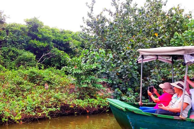 Colombo City Tour (small group with pickup from Cruise ship) - The National Museum is not essential for this route