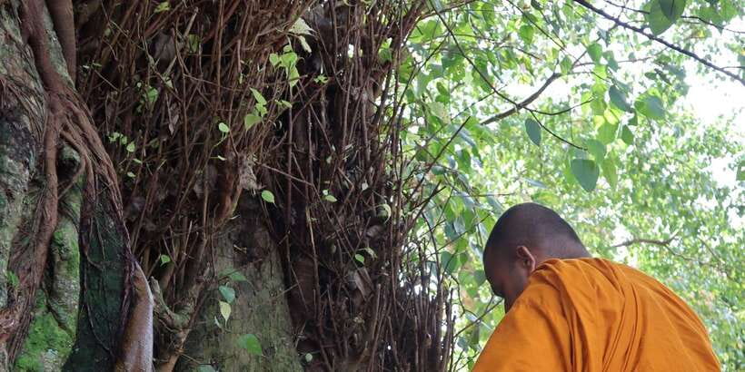 Colombo Port Shore Excursions Colombo City & Kalaniya Temple - Pettah shows you Colombo at street level