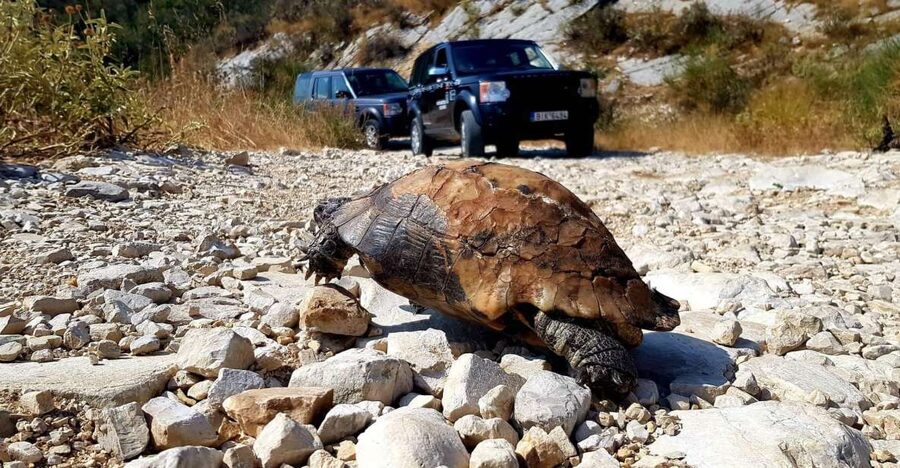 Corfu: Mount Pantokrator Shore Excursion - Why northern Corfu works so well by 4x4