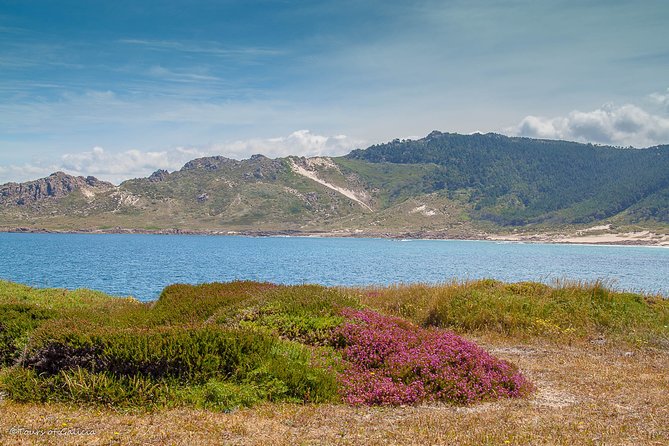 Costa da Morte/Finisterre from La Coruña Private Tour/Shore excursion - What the private format is really worth