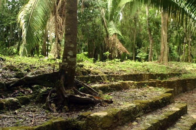 Costa Maya Shore Excursion: Chacchoben Day Trip - Walking through Chacchoben’s main structures