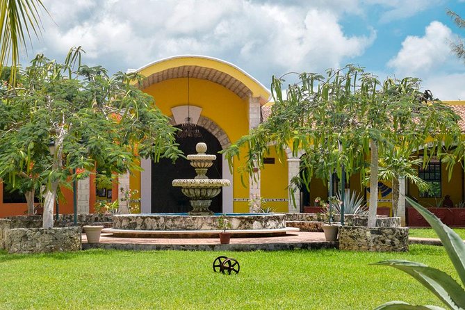 Cozumel Shore Excursion: 5-Hour Sightseeing Tour with Private Driver - San Gervasio, Cozumel’s most important Maya site