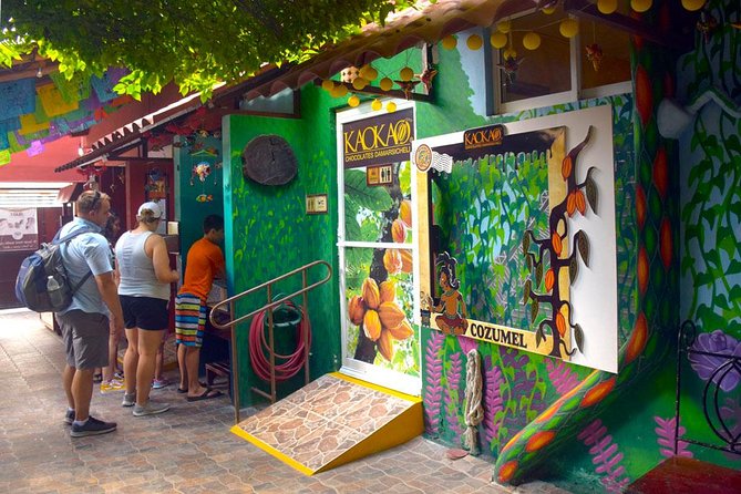 Cozumel Shore Excursion: 5-Hour Sightseeing Tour with Private Driver - Playa Palancar for a final swim