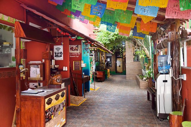 Cozumel Shore Excursion: 5-Hour Sightseeing Tour with Private Driver - What private transport changes