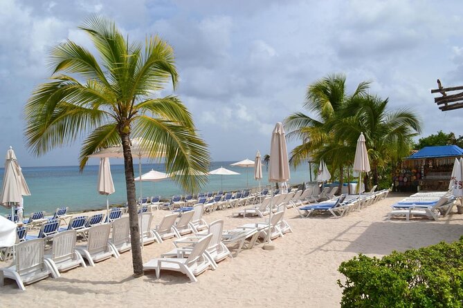 Cozumel Shore Excursion: Playa Uvas Private Beach Pass - The shoreline is rocky, not a classic sandy beach