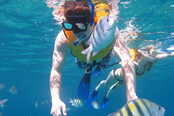 Cozumel Shore Excursion: Playa Uvas Private Beach Pass - Chankanaab access and what it means