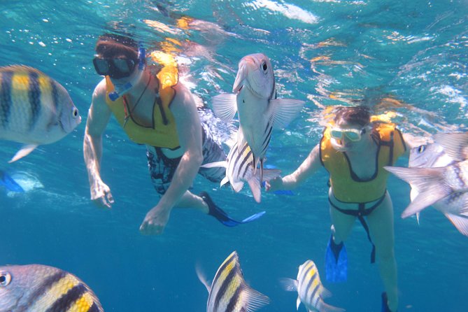 Cozumel Shore Excursion: Playa Uvas Private Beach Pass - Getting there without losing cruise time