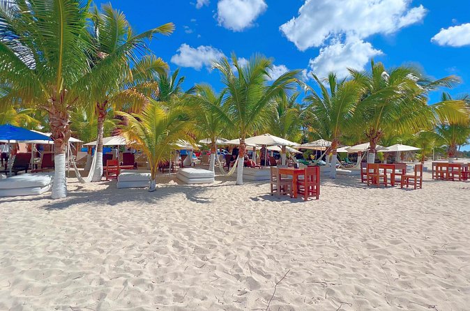 Cozumel: Shore Excursions for Royal Caribbean Cruise Passengers - What the guides may add to the day