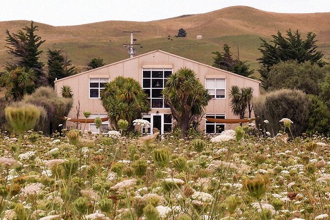 CRUISE SHIP DAY LYTTELTON Hop On Hop Off Wine Tours to Waipara - What the guides add to the day