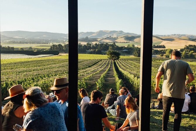 CRUISE SHIP DAY LYTTELTON Hop On Hop Off Wine Tours to Waipara - Price, inclusions, and the real value