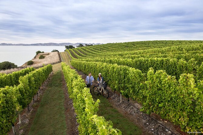 CRUISE SHIP DAY Marlborough Hop On Hop Off Wine Tours - Beer, pubs, cafés, and chocolate