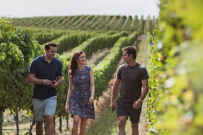 CRUISE SHIP DAY Marlborough Hop On Hop Off Wine Tours - Price, reservations, and the real value
