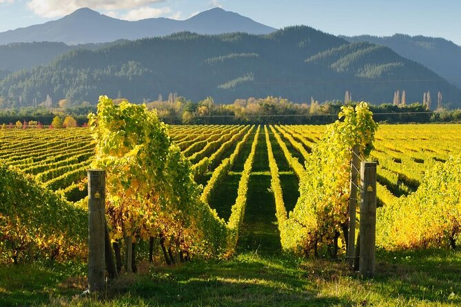 CRUISE SHIP DAY Marlborough Hop On Hop Off Wine Tours - Who should book this Marlborough bus tour?