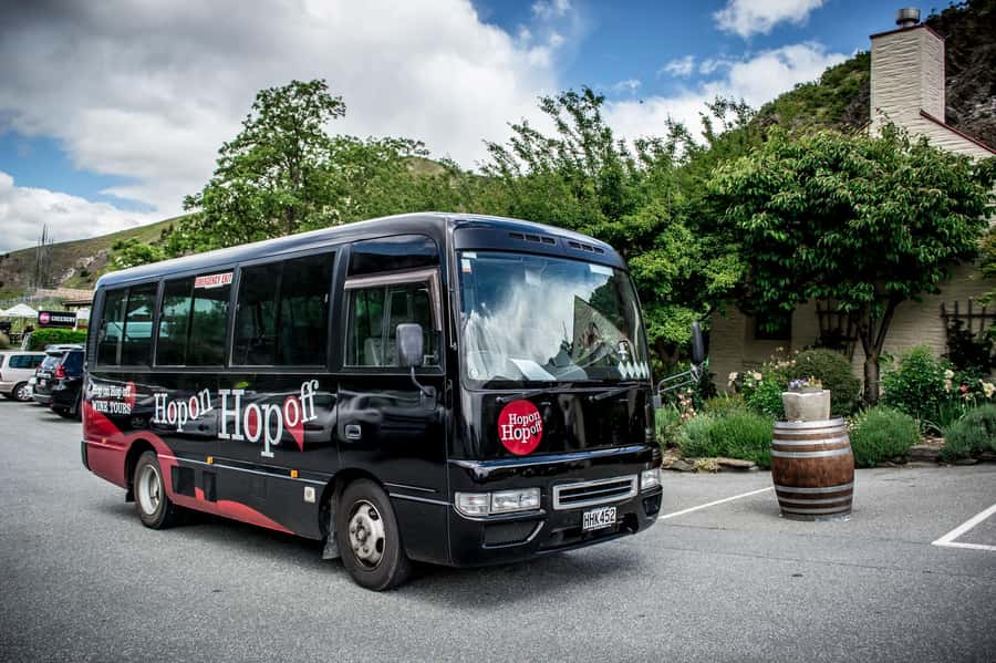 CRUISE SHIP DAYS - HOP ON HOP OFF - Wine, Beer, Food Tour - Choosing between wineries, breweries, and other stops